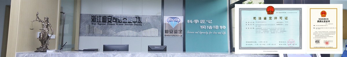我的网站