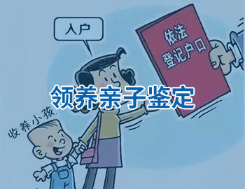 领养亲子鉴定