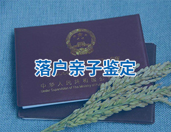 落户亲子鉴定