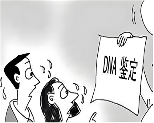 ca944a95-5547-49fd-836a-25c23ba983c2.jpg