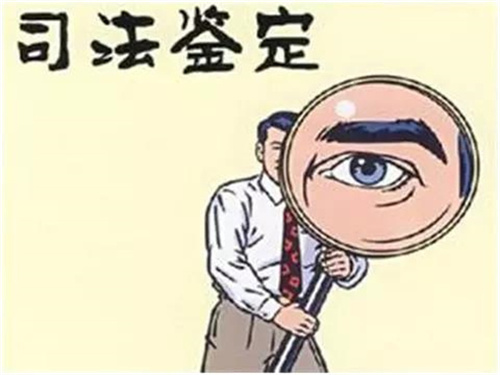 慈溪司法亲子鉴定如何预约?需要准备什么材料?【全攻略】 慈溪司法亲子鉴定如何预约?需要准备什么材料?【全攻略】