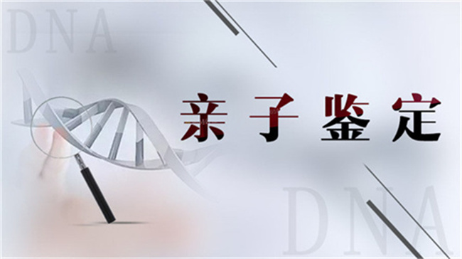 慈溪司法亲子鉴定如何预约?需要准备什么材料?(附25年最详细指南) 慈溪司法亲子鉴定如何预约?需要准备什么材料?(附25年最详细指南)